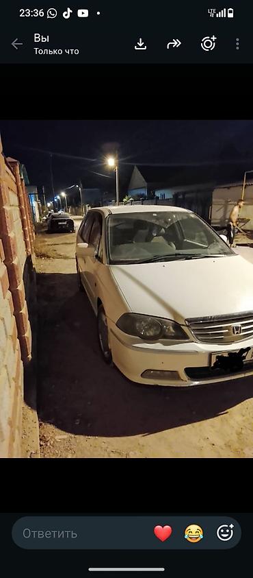 ноускат хонда одиссей: Honda Odyssey: 2000 г., 3 л, Автомат, Газ, Минивэн — 2