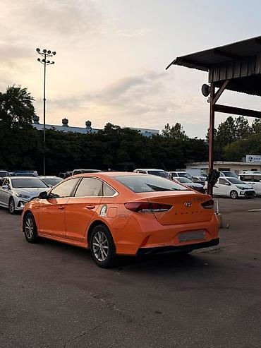 оранжевая соната: Hyundai Sonata: 2020 г., Автомат, Седан — 10