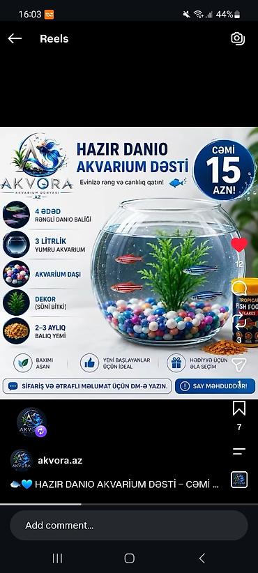 skat balığı: Yumru akvarium, Balıqlarla birlikdə, 1 l — 5