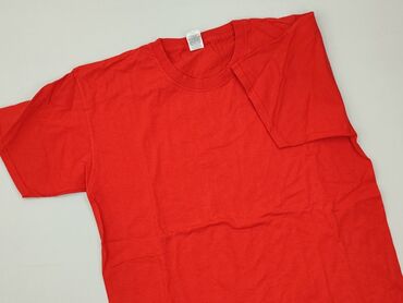 ubrania z niemiec: Fruit Of The Loom, T-shirt for men, size M (EU 38)
