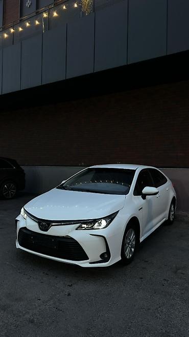 св: Toyota Corolla: 2019 г., 1.8 л, Вариатор, Гибрид, Седан — 2