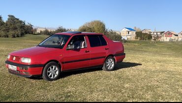 пасат венто: Volkswagen Vento: 1993 г., 1.8 л, Механика, Бензин, Седан