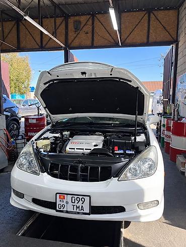 тойота сиенна купить бу: Toyota Windom: 2003 г., 3 л, Автомат, Бензин, Седан — 8