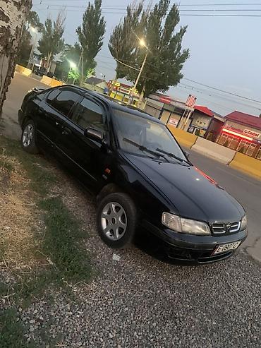 кузов соната: Nissan Primera: 1998 г., Механика, Бензин, Седан — 1