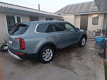 солид: Kia Telluride: 2019 г., Автомат, Бензин, Кроссовер — 5