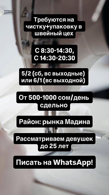 Кийим кооздогучтар: Таңгактагыч, Кийим-кече жана, Район: Мадина, Төлөм: Келишим түрүндө, Иш тартиби: Алты күндүк, Аял — 1