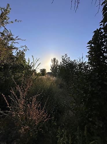 Продажа коттеджей и домов: 📍 В Сокулуке в районе Романовки от трассы 800 м продается дом на — 3