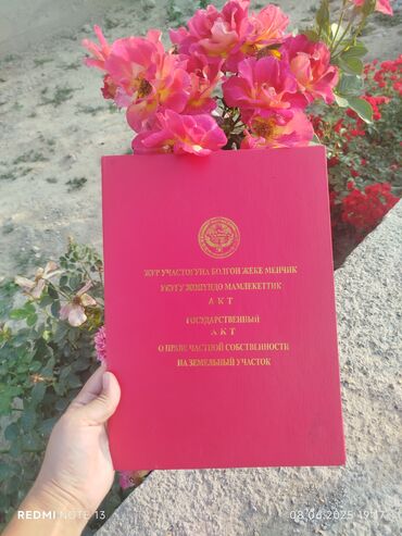 солнечный берег иссык куль 2021: Красная книга