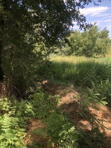 Продажа домов: Дом, 50 м², 4 комнаты, Собственник, Старый ремонт — 4