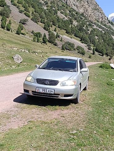 Toyota Corolla: 2003 г., 1.8 л, Автомат, Бензин, Седан