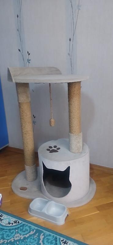shotland pişik: Pişik üçün çoxfunksiyalı oyun və istirahət kompleksi - Material — 4