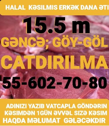 Turşular: Məhsul: Halal kəsilmiş erkək dana əti - Kəsim: Halal, erkək dana -
