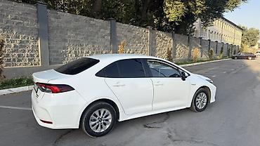 естима бампер: Toyota Corolla: 2020 г., 1.8 л, Вариатор, Гибрид, Седан — 5