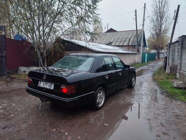 Mercedes-Benz: Mercedes-Benz 220: 1990 г., 2.9 л, Механика, Дизель, Седан