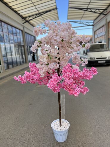 Süni güllər: 50 man baslayan qiymetler — 9