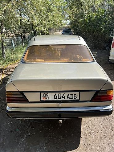ассенизаторы купить: Mercedes-Benz W124: 1991 г., 3 л, Механика, Дизель, Седан — 1