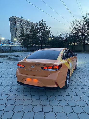 Hyundai: Hyundai Sonata: 2019 г., 2 л, Автомат, Газ, Седан — 6