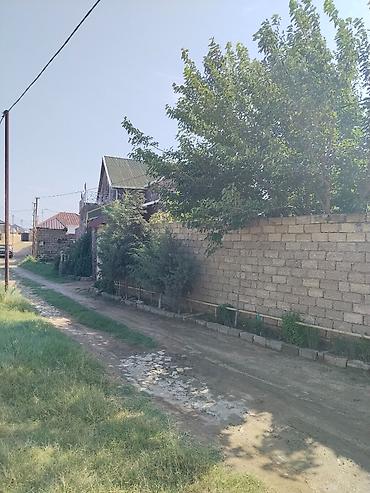 çeşqa satışı: Bakı, 600 kv. m, 3 otaqlı, Hovuzlu, Kanalizasiya, Qaz, Su — 7