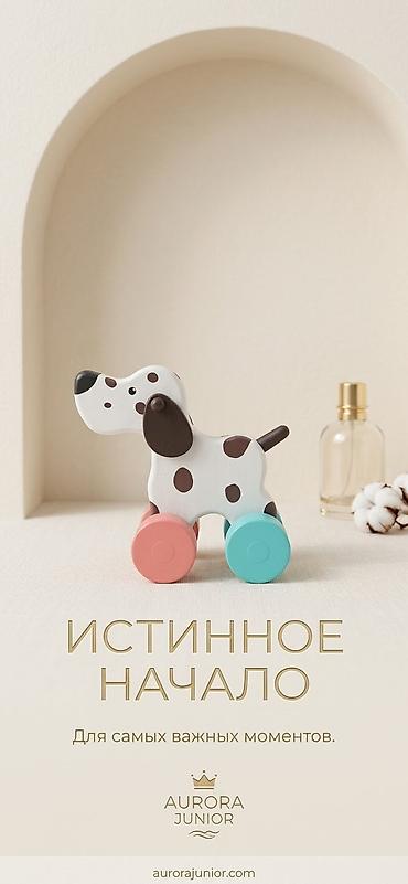 baby doll: Деревянная каталка «Гусёнок» - Ручная роспись: белое тело с нежными — 3