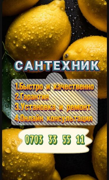 мастер по ремонту дом: Сантехниканы орнотуу жана алмаштыруу 6 жылдан ашык тажрыйба