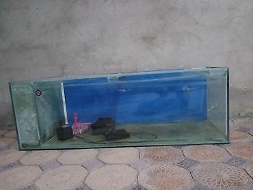 Dördbucaq akvarium, Boş, 350 l lalafo.az -da Dördbucaq akvarium, Boş, 350 l