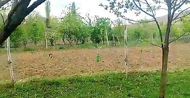 barda: Göygöl, Çaylı kəndində yerləşən 12 sot torpaq sahəsi. Sənəddə 10 sot — 4