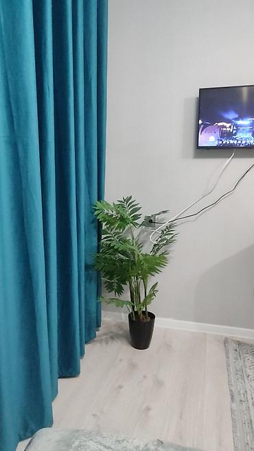 Гостиницы, отели (Посуточная аренда комнат): Сдается уютная студия/комната посуточно. Комплектация и удобства: - — 6