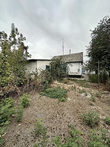 aalam city: 3 комнаты, 65 м², 6 соток, Токмак, Собственник — 1