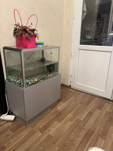 akvarium filter: İki balıq, su filtiri, yemsu qızdırıcısı, suyun tempuratur ölçüsü və