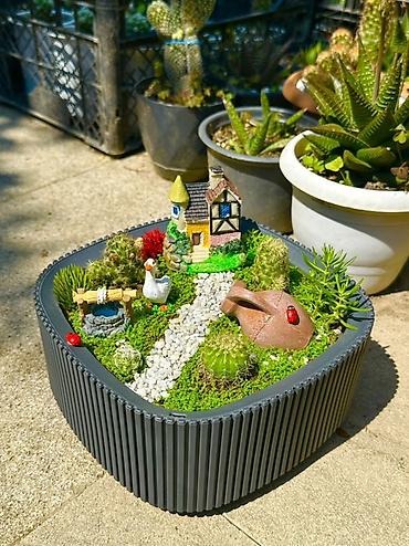 Bitkilər üçün dibçəklər: Miniatür sukulent/teraryum kompozisiyası – “Bağ evciyi” mövzulu - — 4