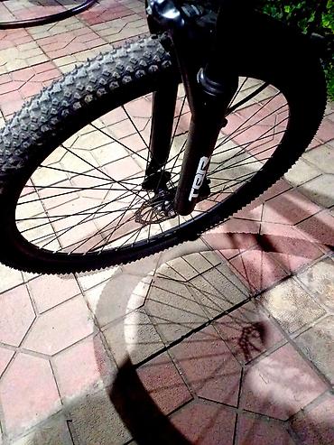 29: Горный велосипед TCR (жёсткий хвост, хардтейл) - Рама: алюминиевая — 5