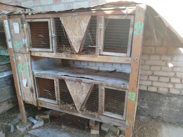 продажа домашних животных: Многоярусная деревянная клетка для кроликов, предназначенная для