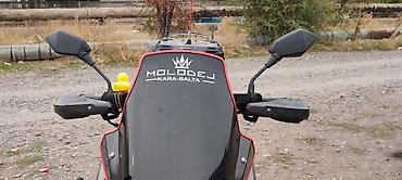 r15 at: ADV GTiger Maxi Документы все есть Перед зад Тайвань Без вложений — 2