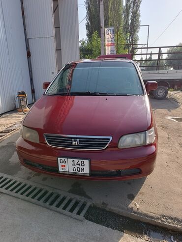 продаю crv: Honda Odyssey: 1995 г., 2.3 л, Автомат, Бензин, Минивэн