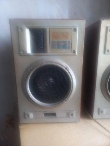 Audio: Двух полосная акустическая колонка с фазоинвертором 15АС220 — 2