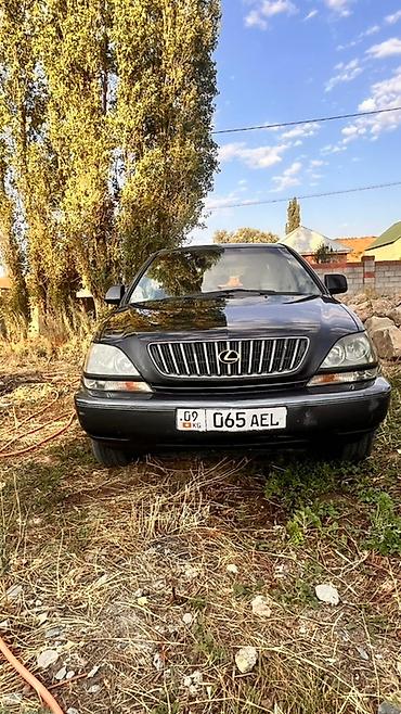 Lexus: Lexus RX: 2000 г., 3 л, Автомат, Бензин, Внедорожник — 2