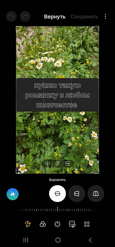продаю вагончик: Куплю
