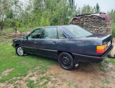 audi s5: Audi 100: 1990 г., 2 л, Механика, Бензин, Седан