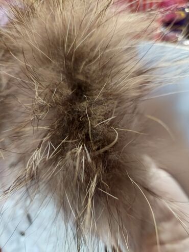 Kurtkalar: Kurtka az istifade olunub
2,3 yaş
15 AZN -da lalafo.az — 2 Kurtkalar: Kurtka az istifade olunub
2,3 yaş
15 AZN — 2