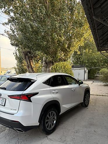 Lexus: Lexus NX: 2018 г., 2 л, Автомат, Бензин, Кроссовер — 5