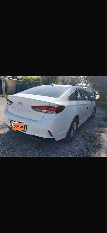 химия на авто: Hyundai Sonata: 2018 г., 2 л, Автомат, Бензин, Седан — 4