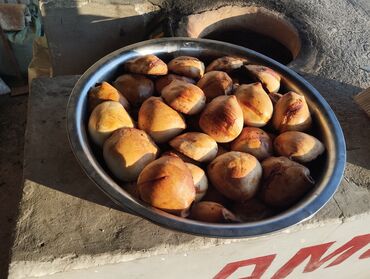 балыкчы дом продаю: Самсы тандыр арендага алам узак моонотко