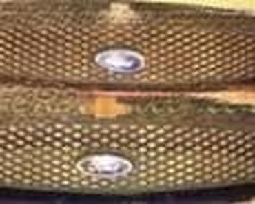Glave motora: BOS PUMPA ZA FORD FIESTA OD 2000. DO 2002. GOD. | FORD velika ponuda — 21