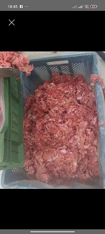 It pişik üçün lalafo.az -da It pişik üçün