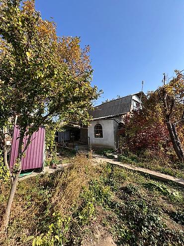 сасновка жер: 5 соток — 1