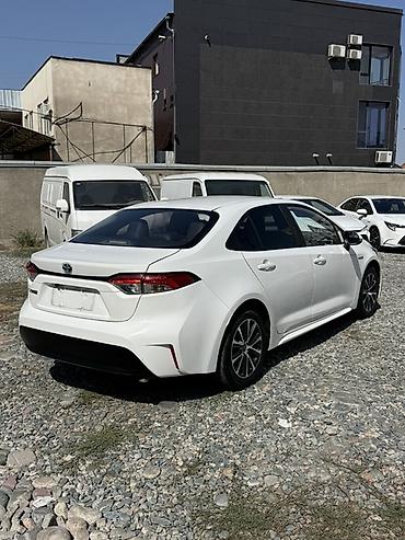 byd e6: Toyota Corolla: 2023 г., 1.8 л, Гибрид, Седан — 4