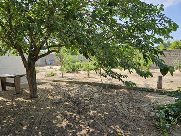 Bağ evlərinin satışı: Bakı, Mərdəkan, 100 kv. m, 5 otaqlı, Hovuzsuz — 7