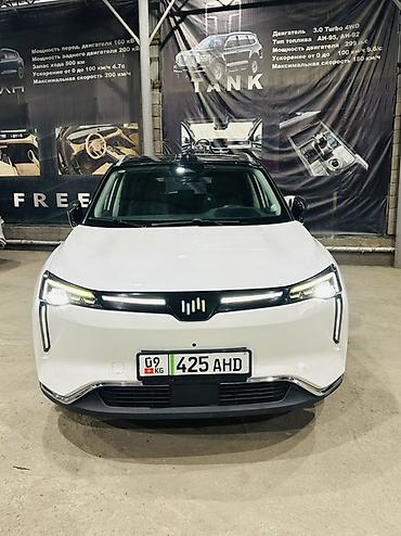 мини электро: Weltmeister W6, 2021 г., 113000 км, Передний, В наличии — 6