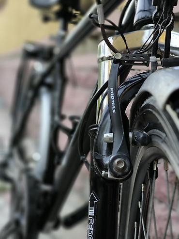 Городские велосипеды: Велосипед из Германии. Это модель "Prince Streetcoach" относится к — 11