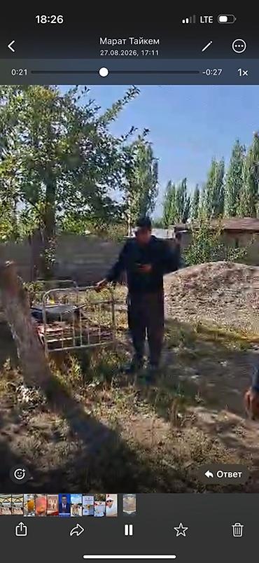требуется авто маляршики: ТРЕБУЕТСЯ ПОДГОТОВЩИК-МАЛЯР ПО КУЗОВНОМУ РЕМОНТУ 🔹 ОПЫТ РАБОТЫ — 7